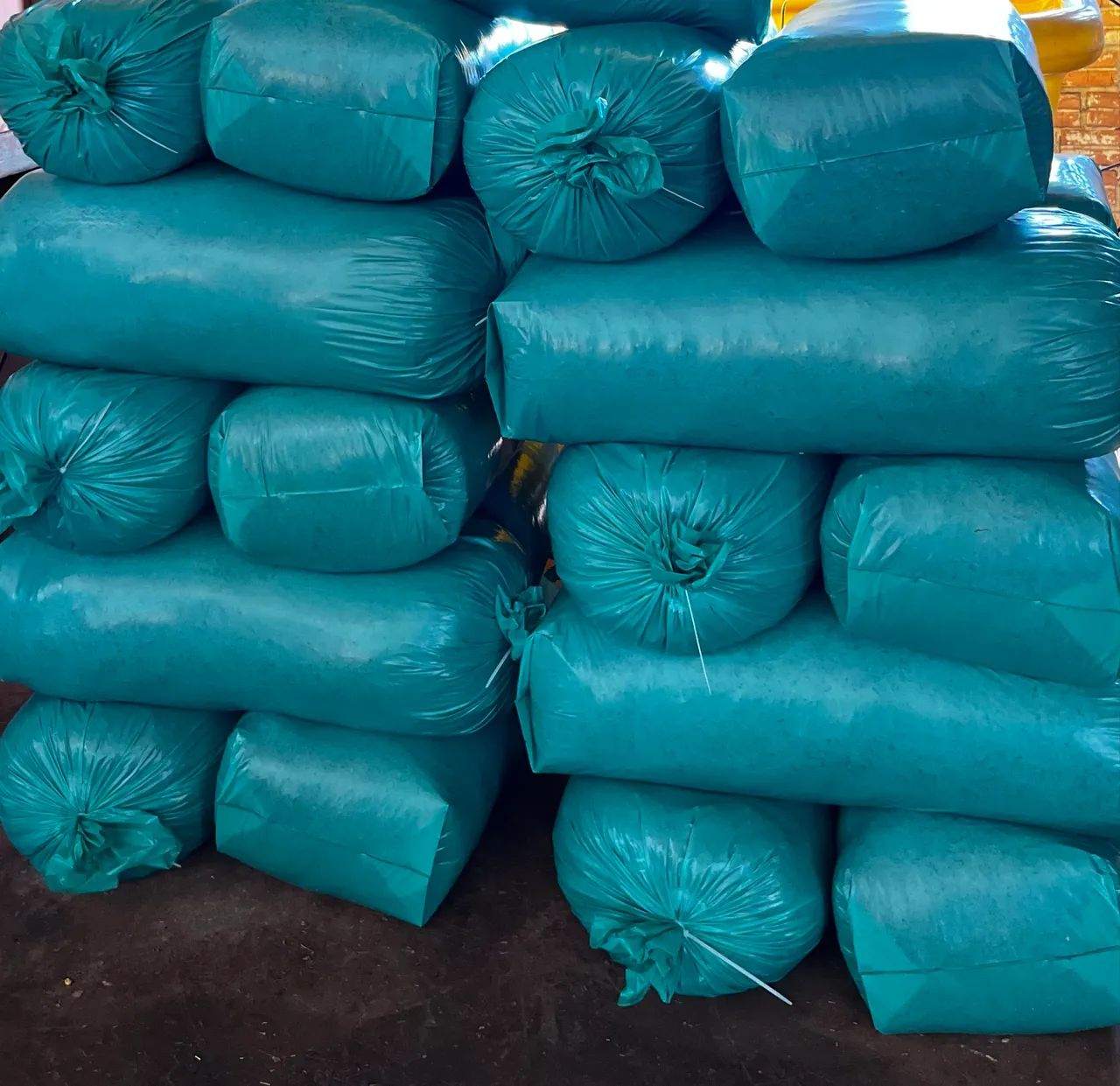 Silagem de Sorgo  - Foto 3