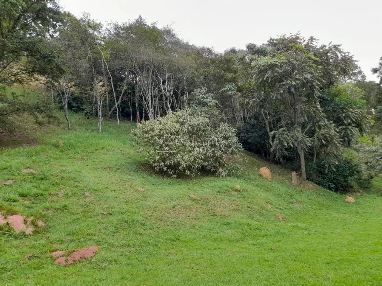 terreno - Colinas do Ermitage (Sousas) - Campinas - Foto 4