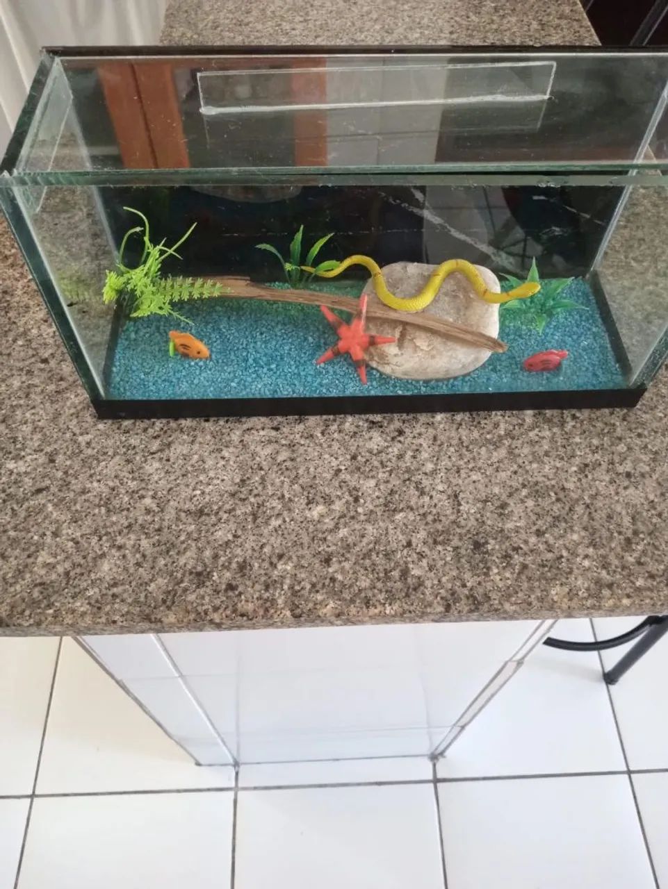 Dois Aquários Pequenos 65093396284803121