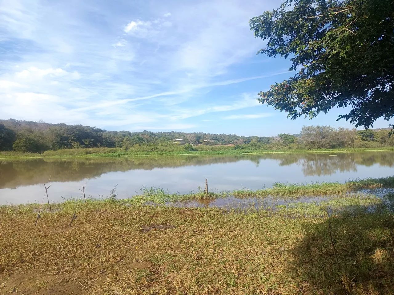 Lote 460m2 - Foto 4
