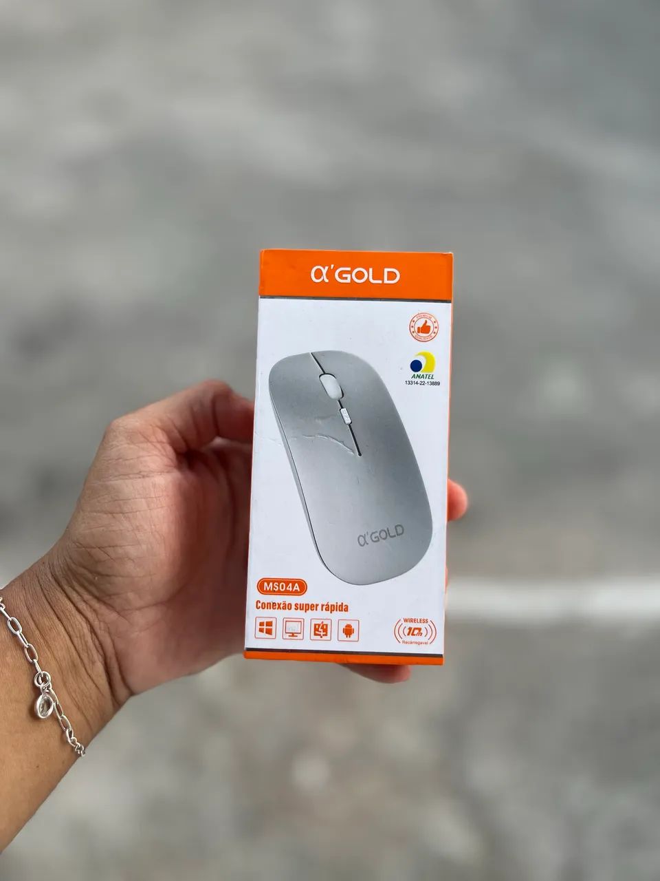 Mouse sem fio wireless - Entrega a domicílio 