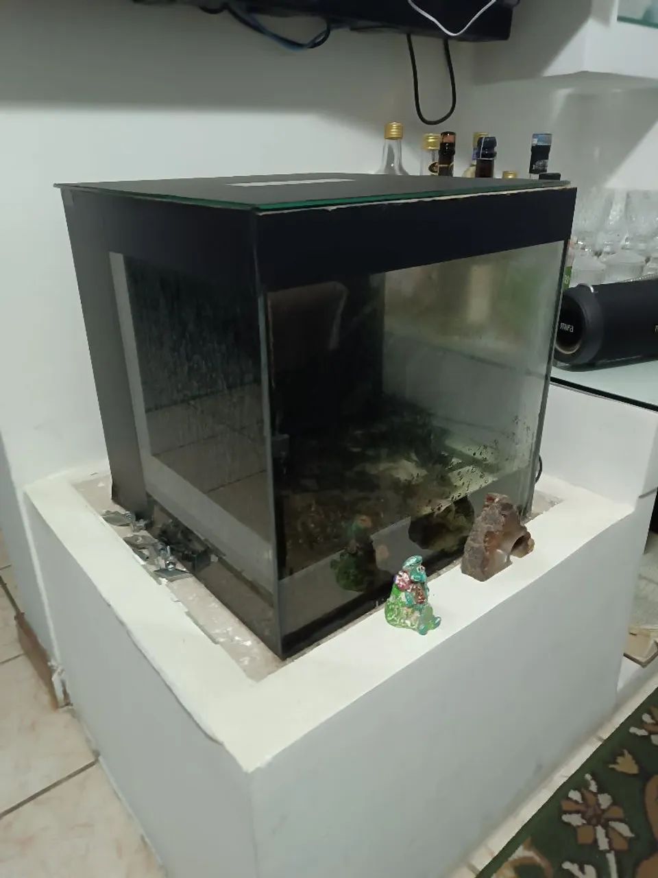Aquário 