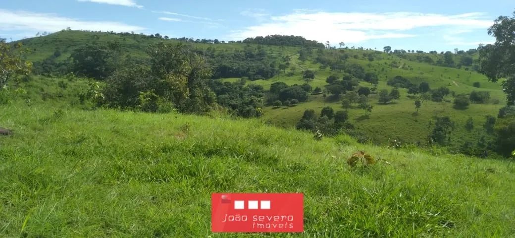 Fazenda para Venda em Hidrolina - Foto 2