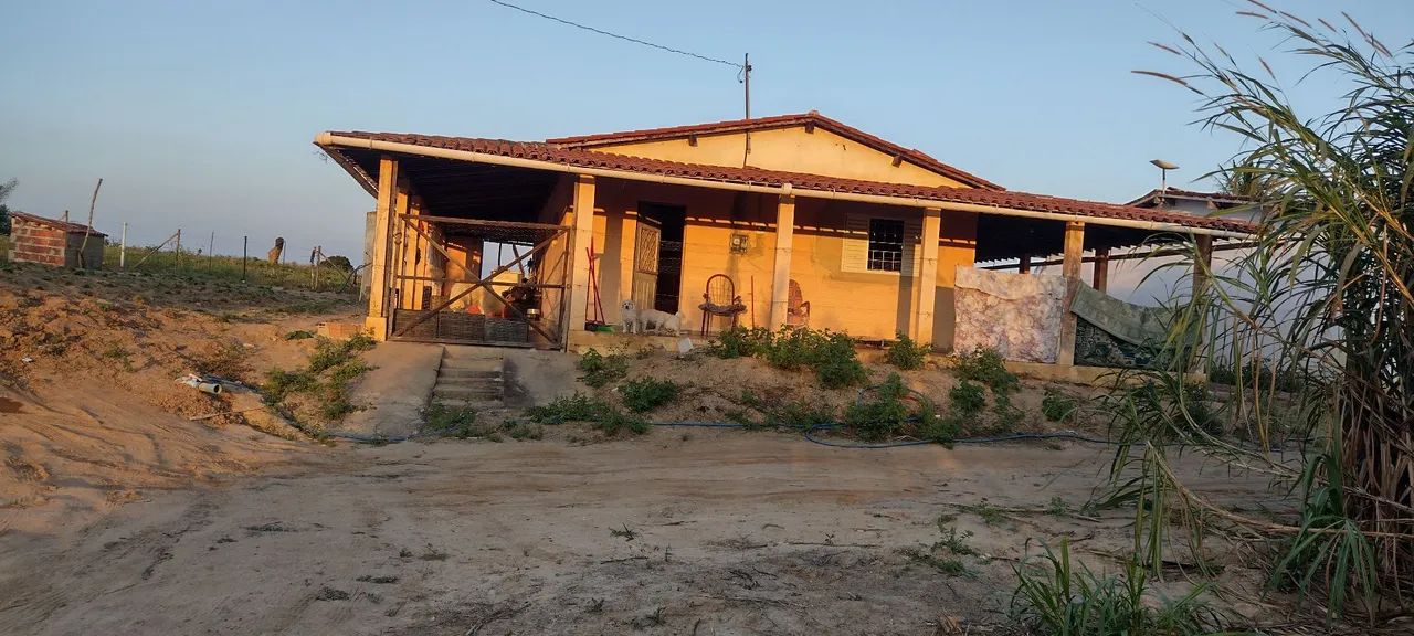 Sítio campinote 