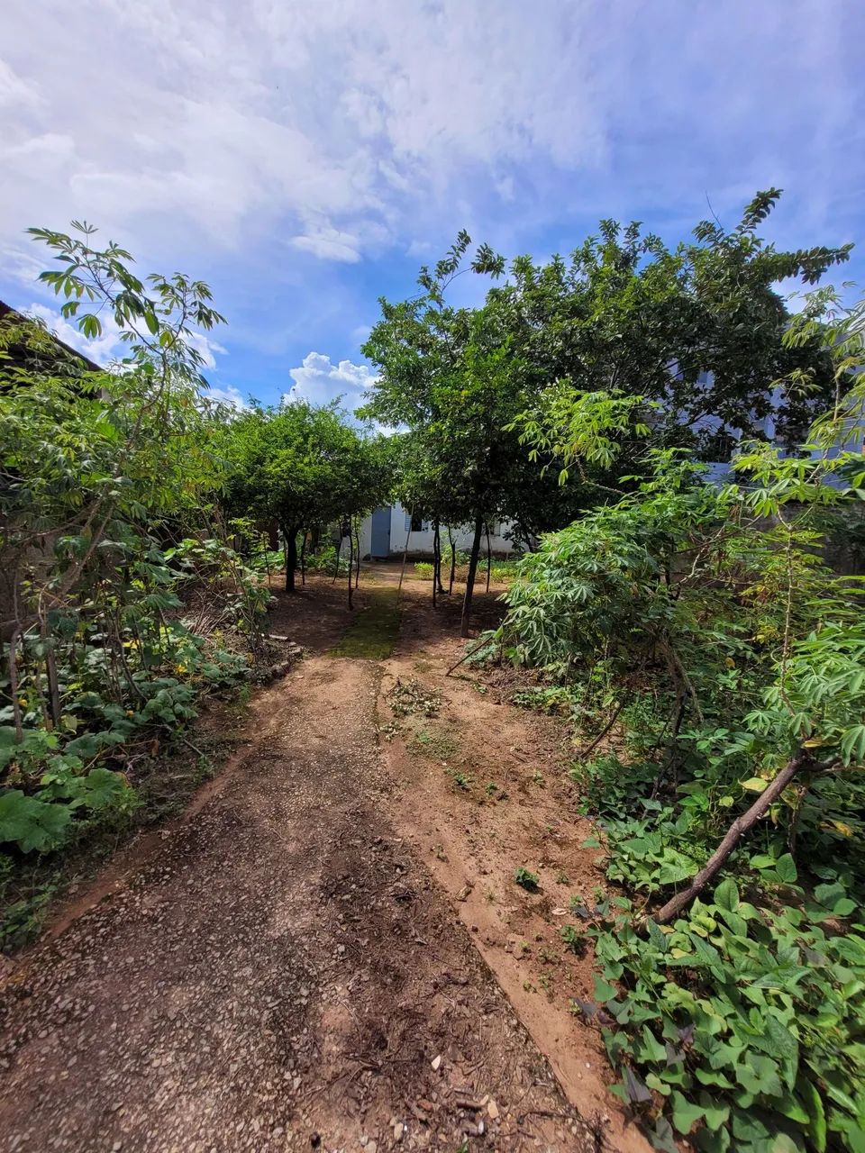 Lote bairro Bethânia Ipatinga  - Foto 2