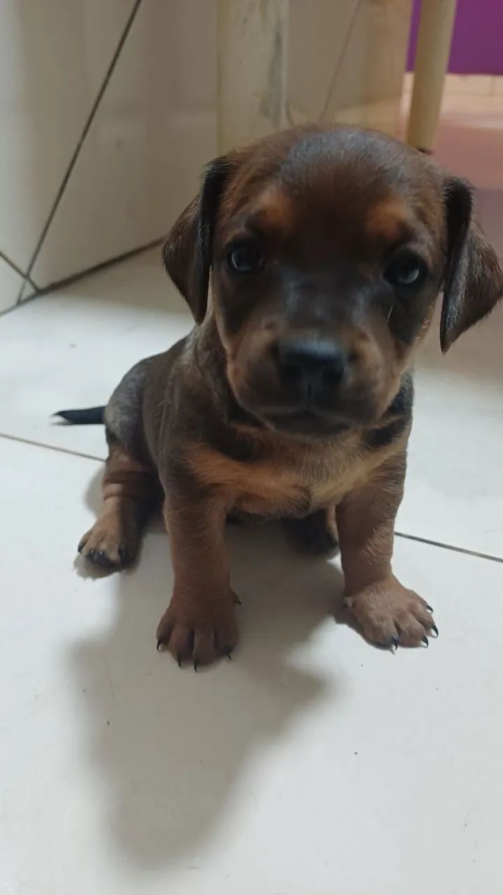 Doação  - Foto 2