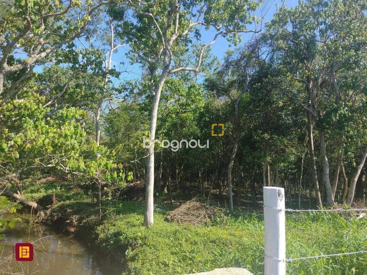 Terreno com viabilidade - Foto 4