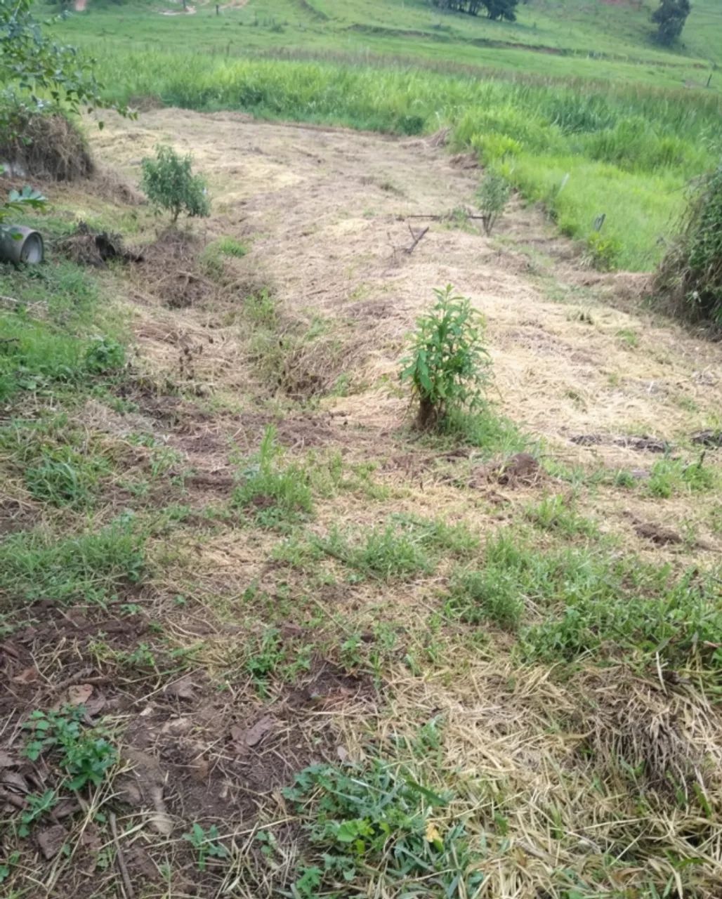 Lote Zona Rural 750m2 - Foto 5