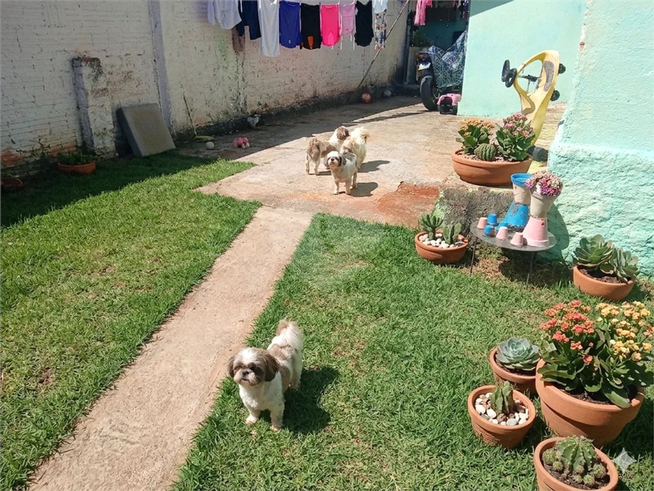 Casa com 1 quartos à venda em Vila rio branco - SP - Foto 3