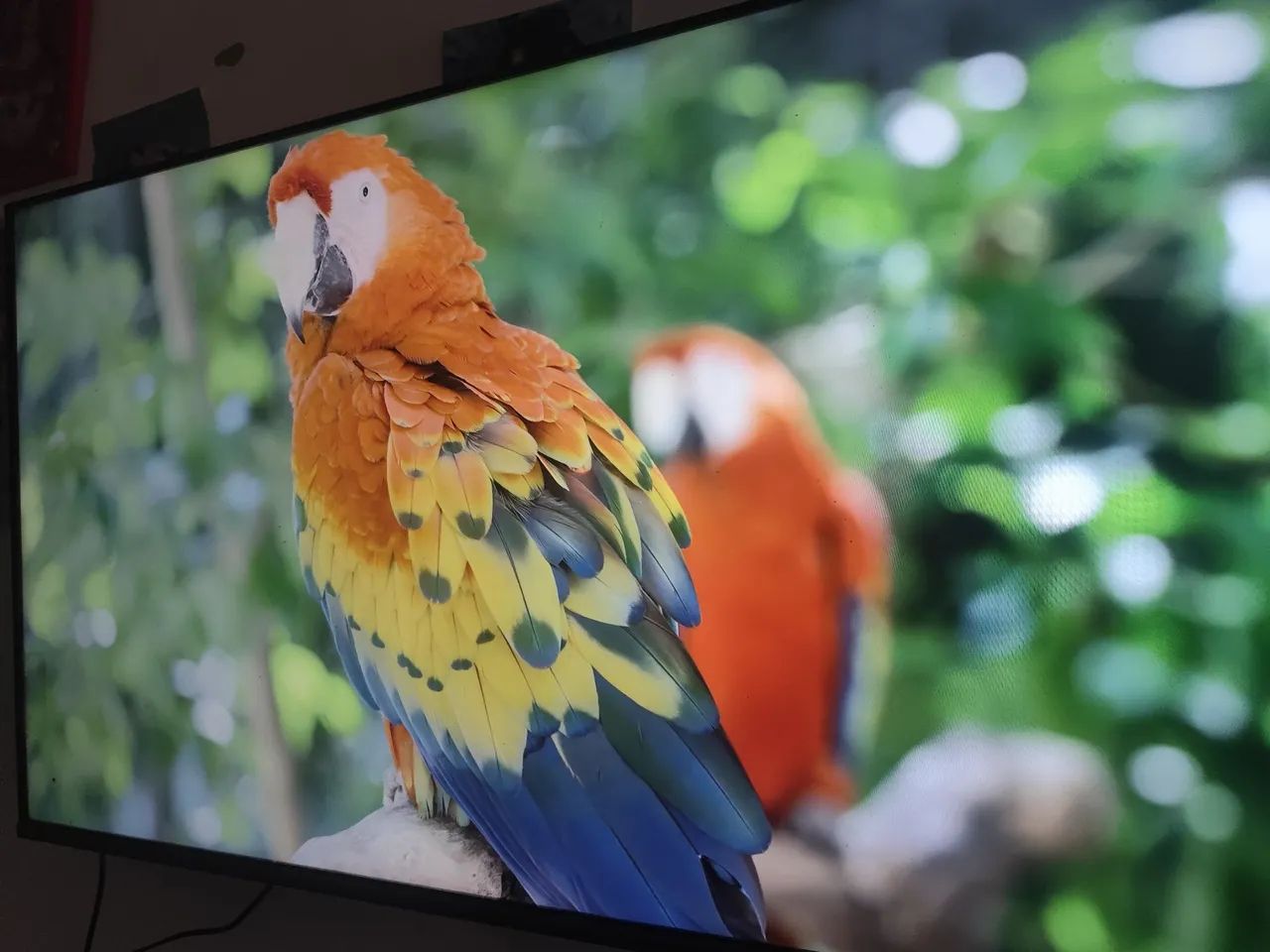 TV PHILCO DOLBY ÁUDIO 4KUHDTV PHILCO DOLBY ÁUDIO 4KUHD - Foto 2