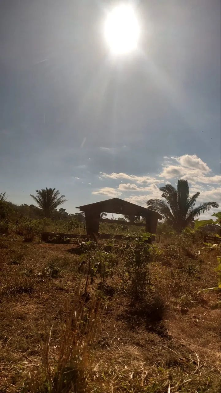 Fazenda  - Foto 4