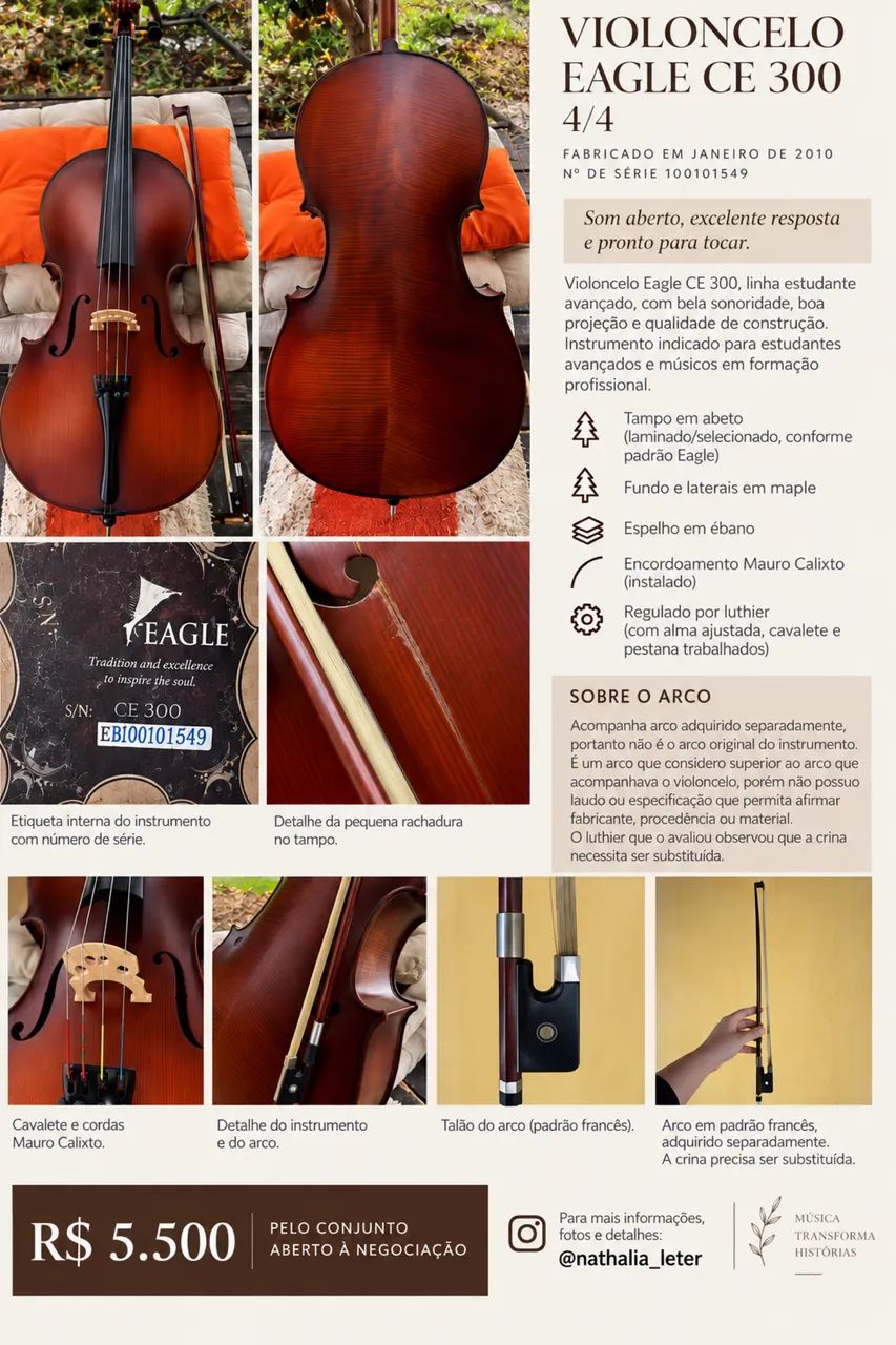 Violoncelo Eagle CE 300 4x4 (Interm./ Avançado)