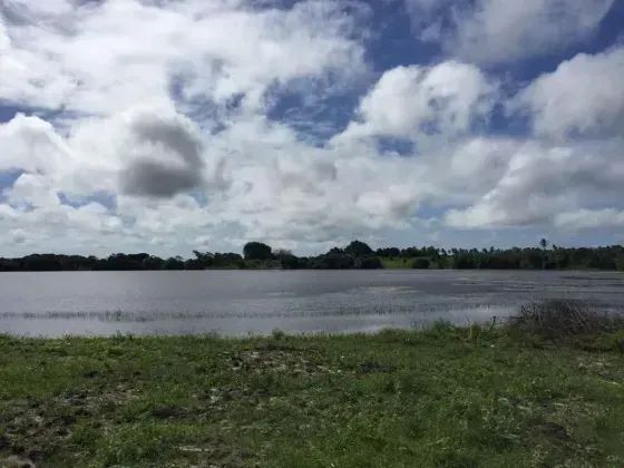 fazenda com 60 hectares próximo do aeroporto - Foto 4