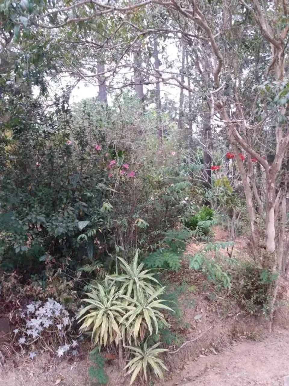 Chácara a Venda no Ponuduva, Cajamar-SP - Foto 2