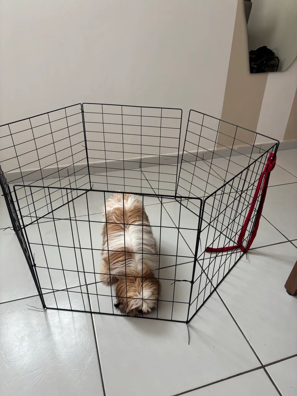 Cercado Grade Para Pets - Foto 3