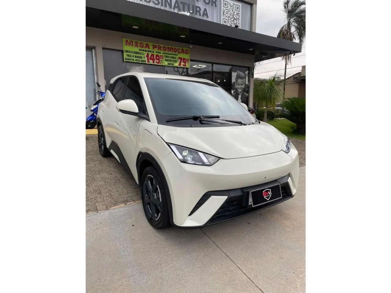 BYD Dolphin EV (Elétrico) 2025