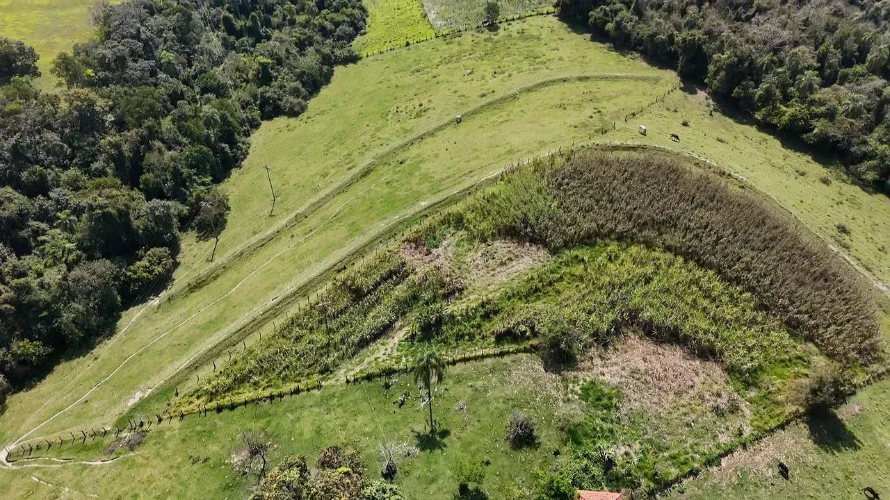 Imóvel para venda tem 1000 metros quadrados com 3 quartos - Foto 4