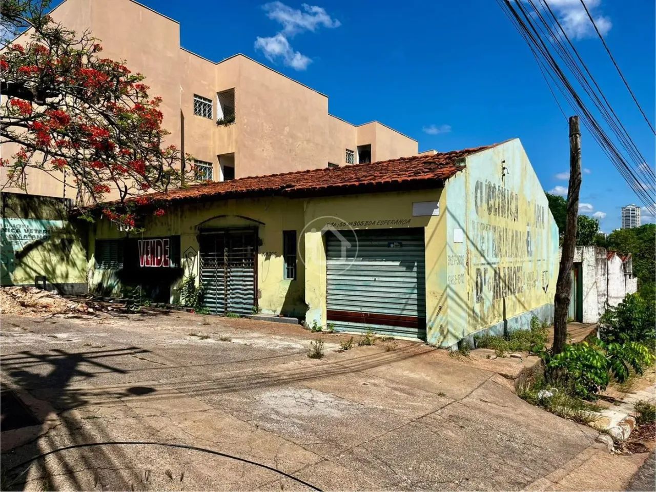 TERRENO - BOA ESPERANÇA - Foto 3