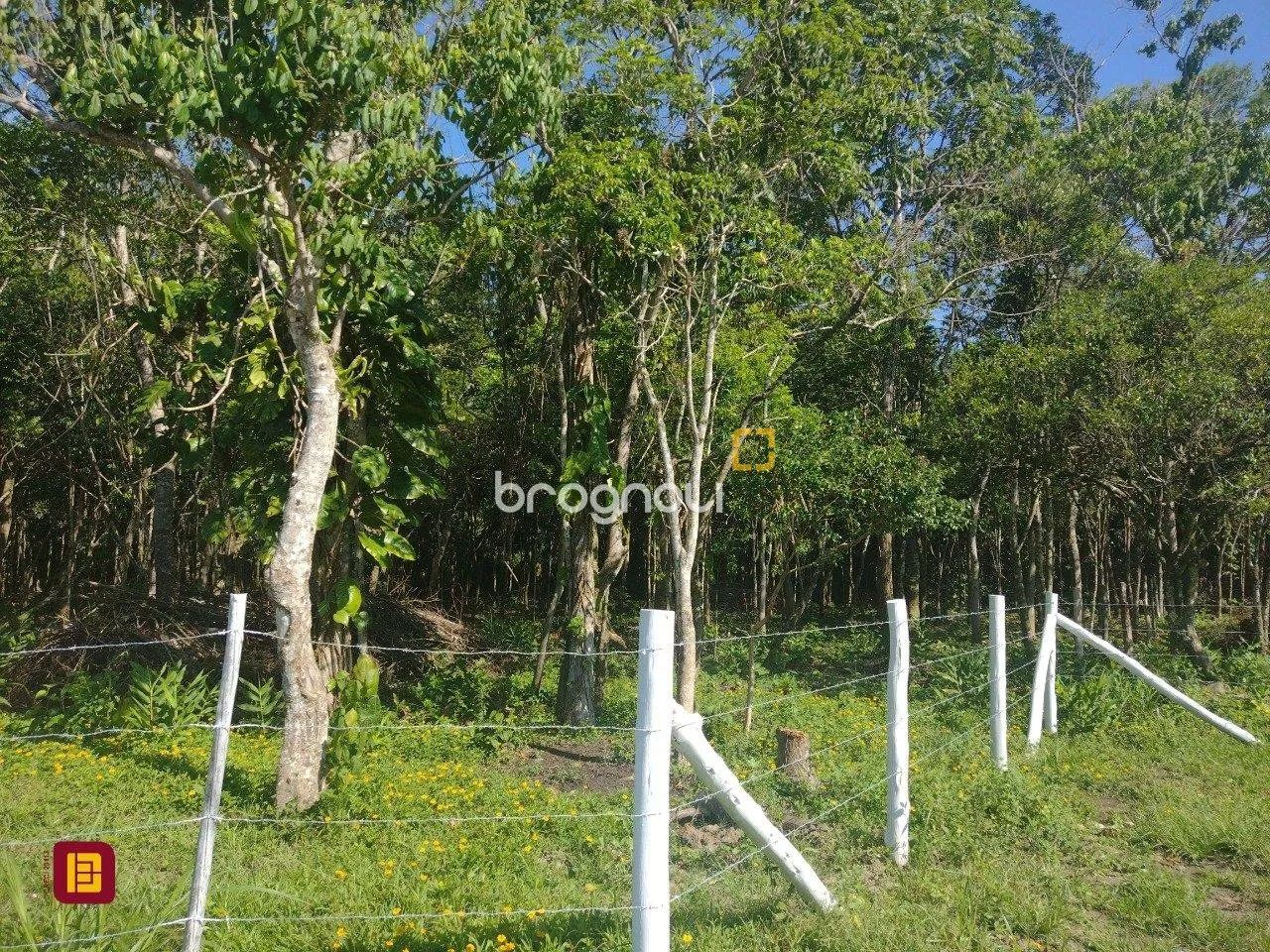 Terreno com viabilidade - Foto 2