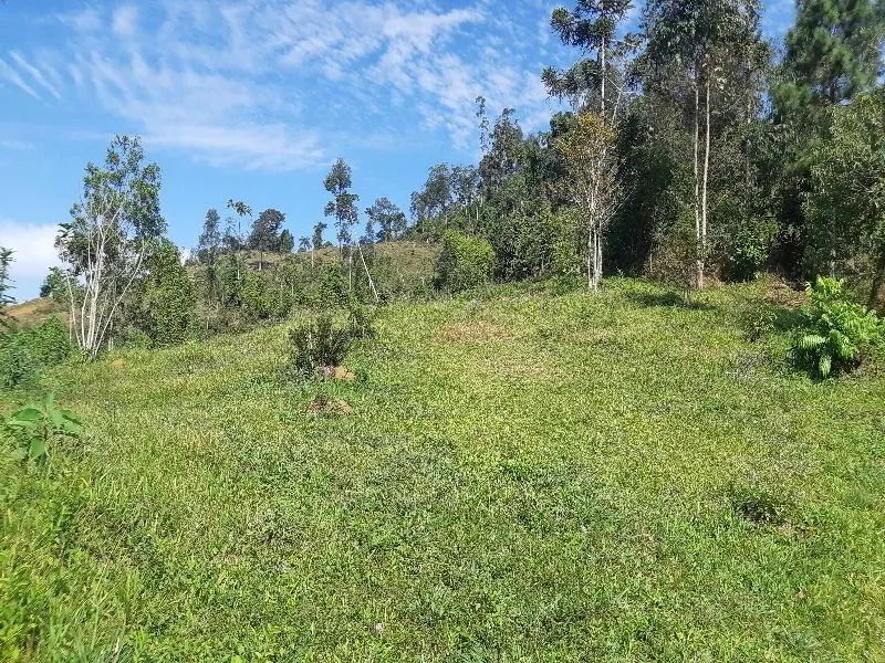 Terreno RODEIO - SC - Foto 3
