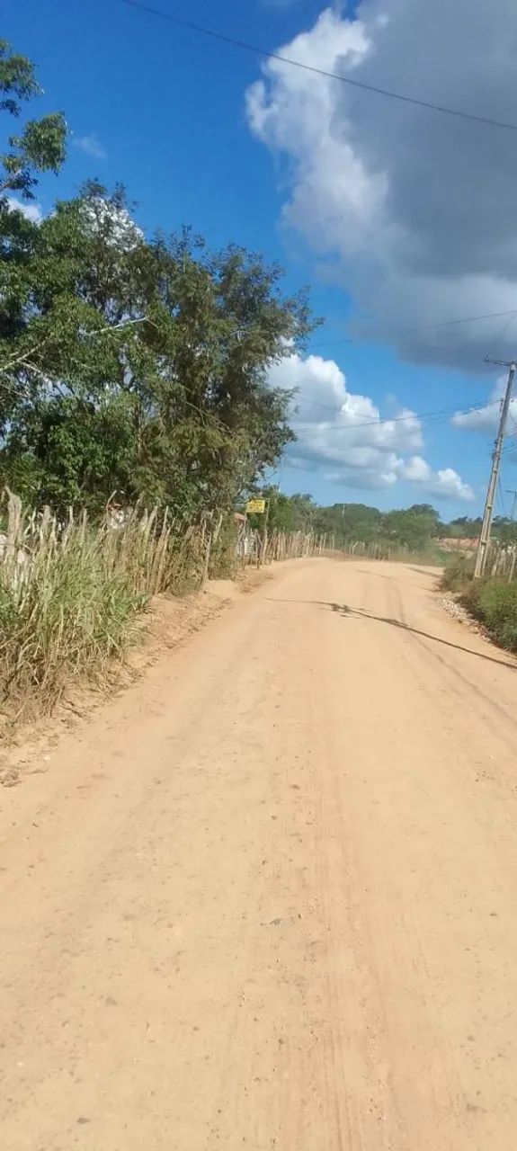 Tereno em irará zap * - Foto 2