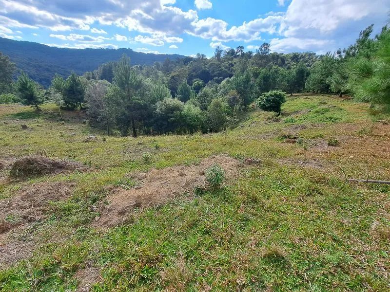 Lote rural DOUTOR PEDRINHO - SC - Foto 4