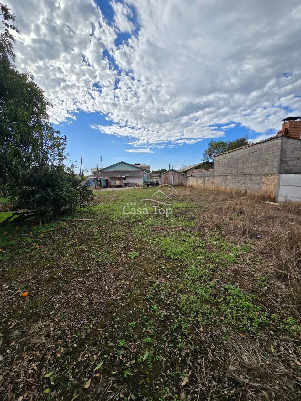 Terreno à venda Castro - Foto 2