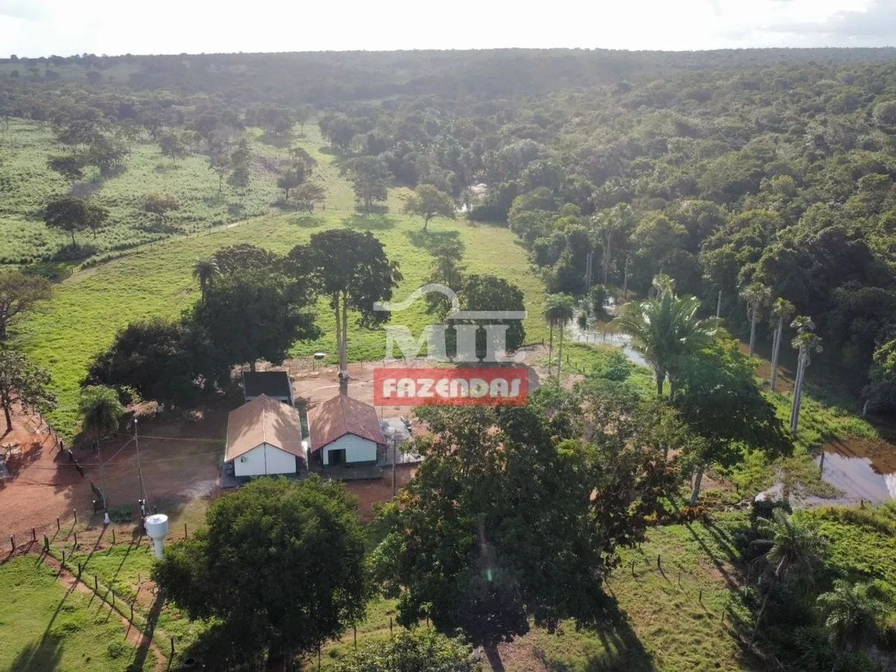 Fazenda em Figueirópolis - TO. Área Total: 177 Alqueires (856 Há) - Foto 3