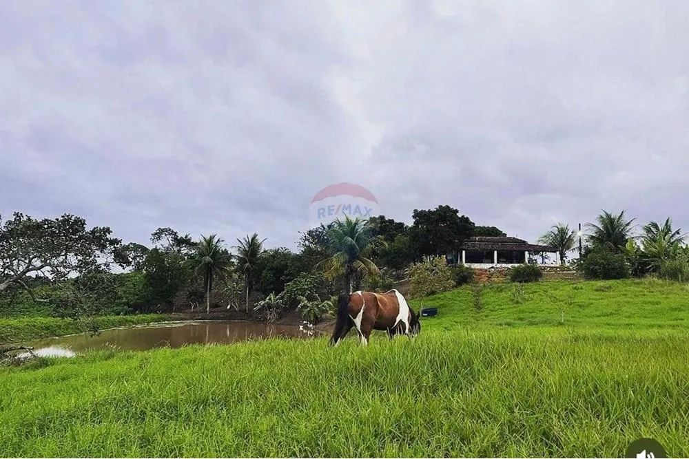 FAZENDINHA EM UNIÃO DOS PALMARES