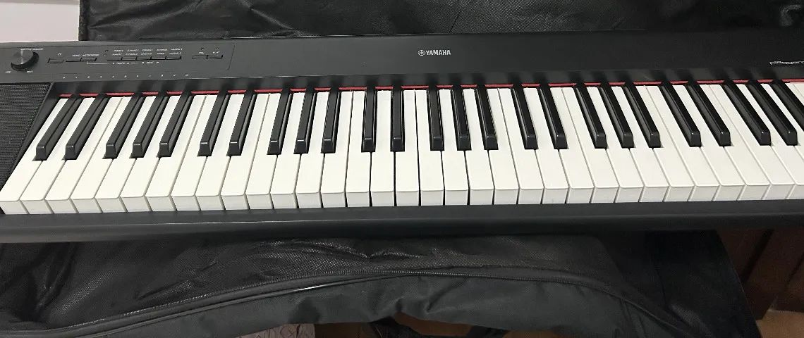 yamaha piaggero np12