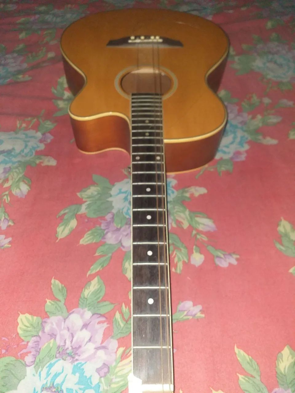 Violão strinberg eletronico 450$