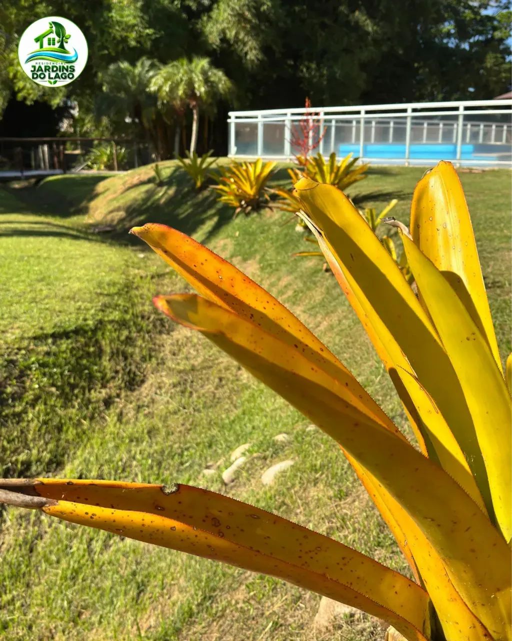 Lote/Terreno para venda com 360 metros quadrados em Cajueiros (Itaipuaçu) - Maricá - Rio d - Foto 19