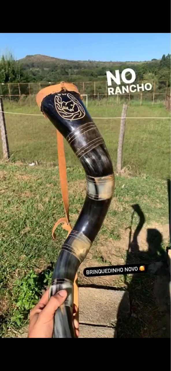 Berrante profissional 