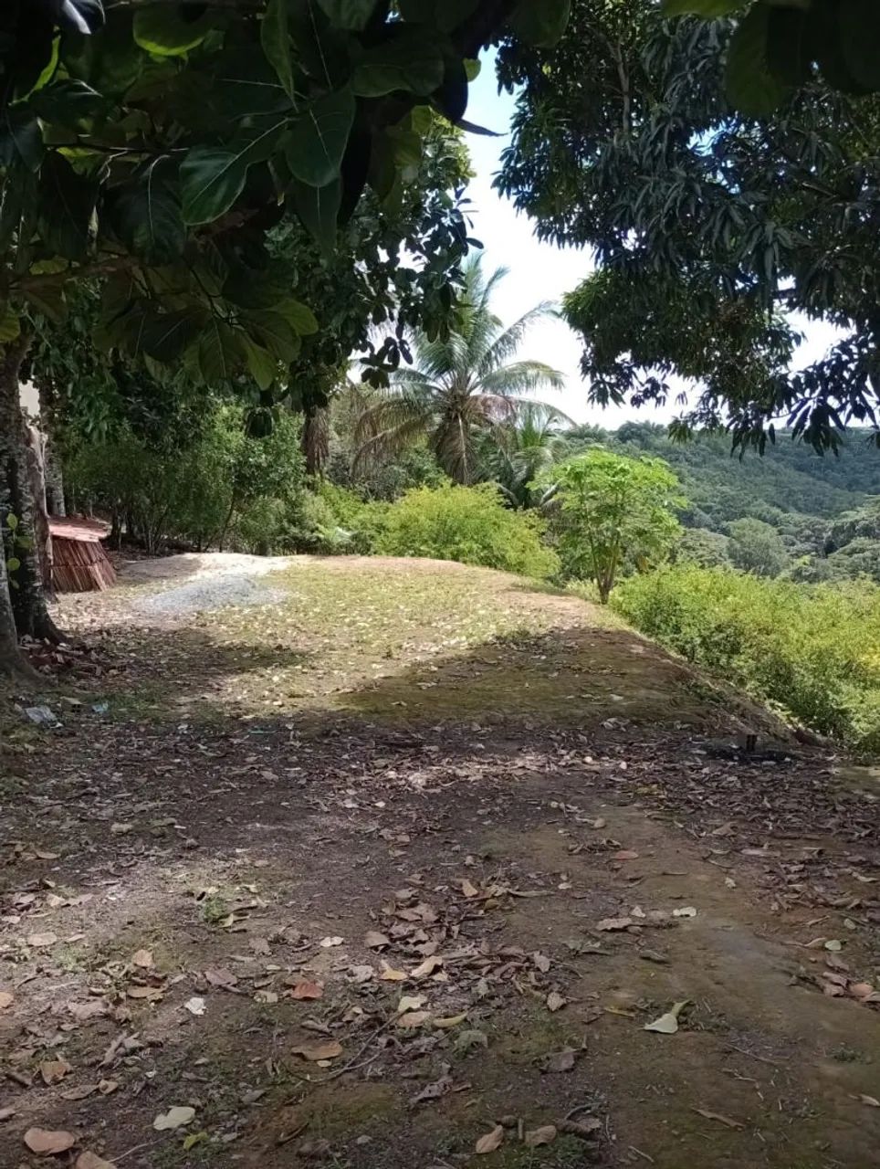 VENDE-SE SÍTIO  - Foto 2