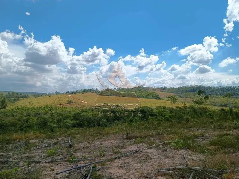 Fazenda - Arcos - Zona Rural - Foto 4