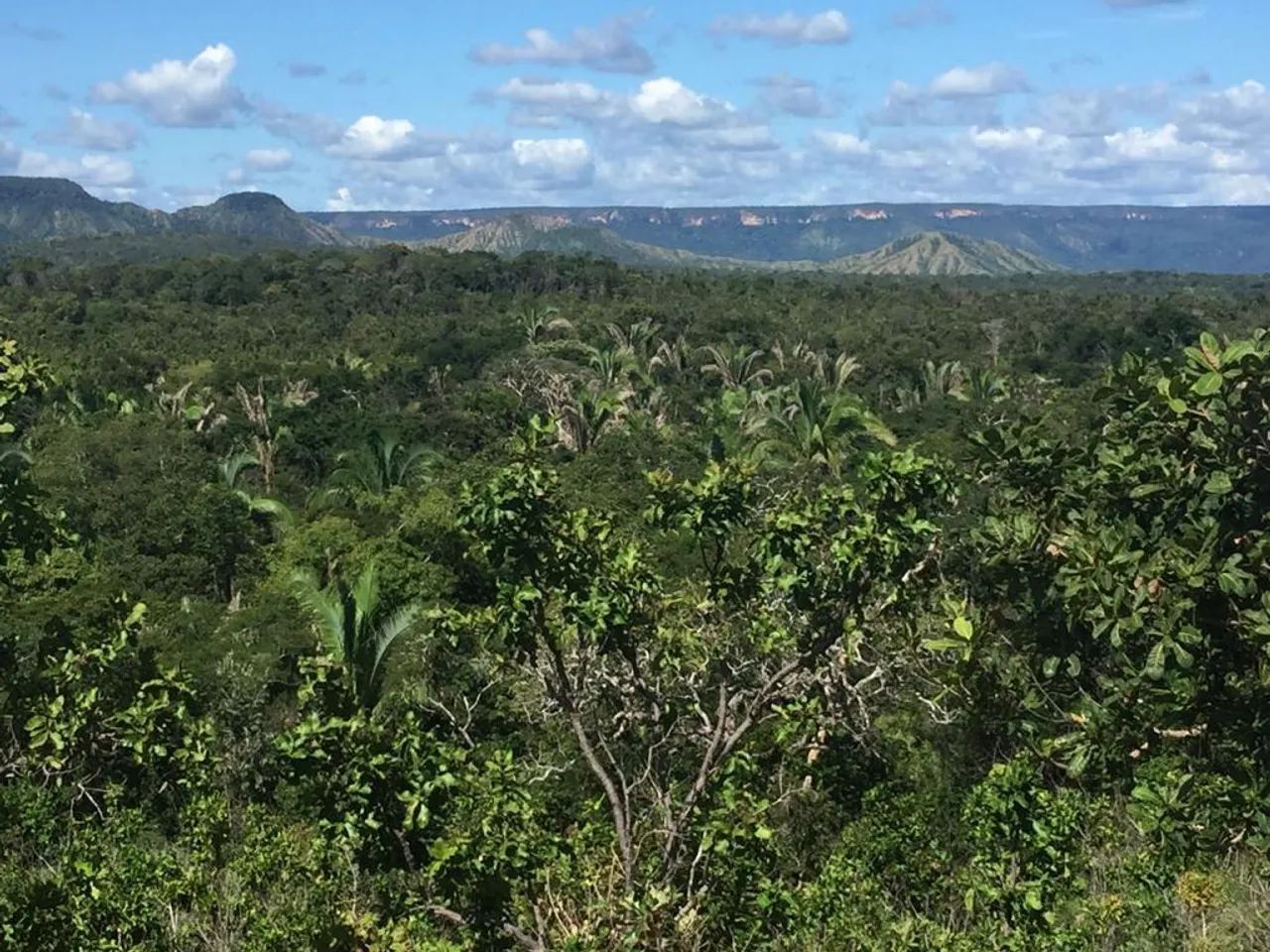 Fazenda para Venda em Miracema do Tocantins
