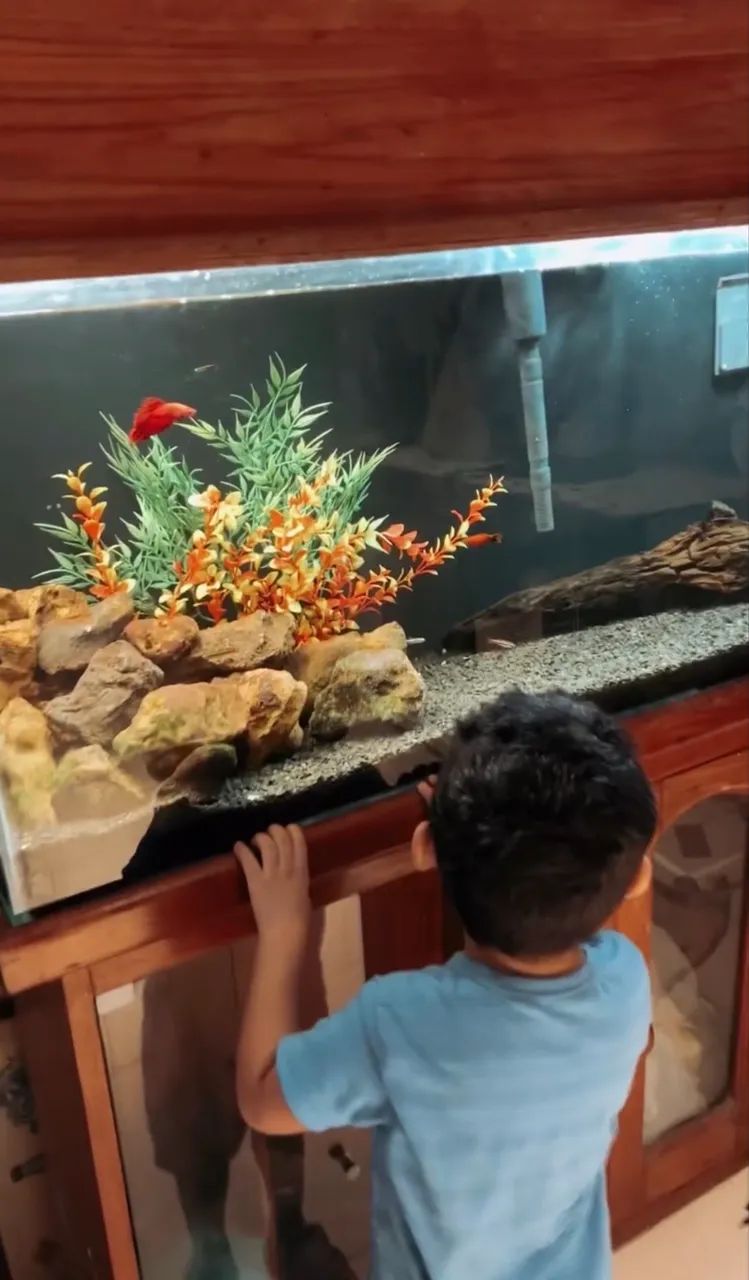 Aquário móvel 110 litros 