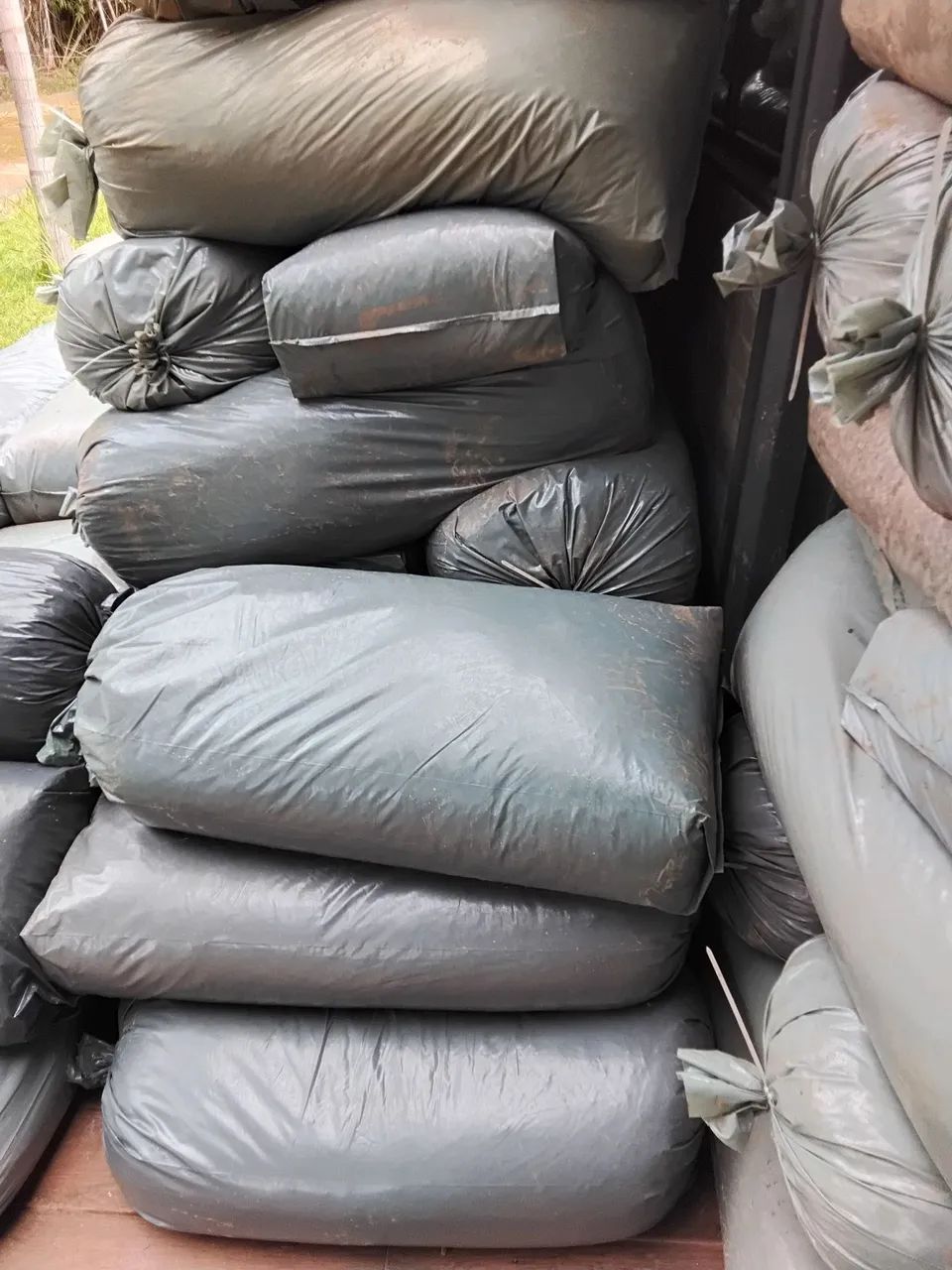 Silagem top 10 , 100% do milho, a melhor silagem da ponte alta