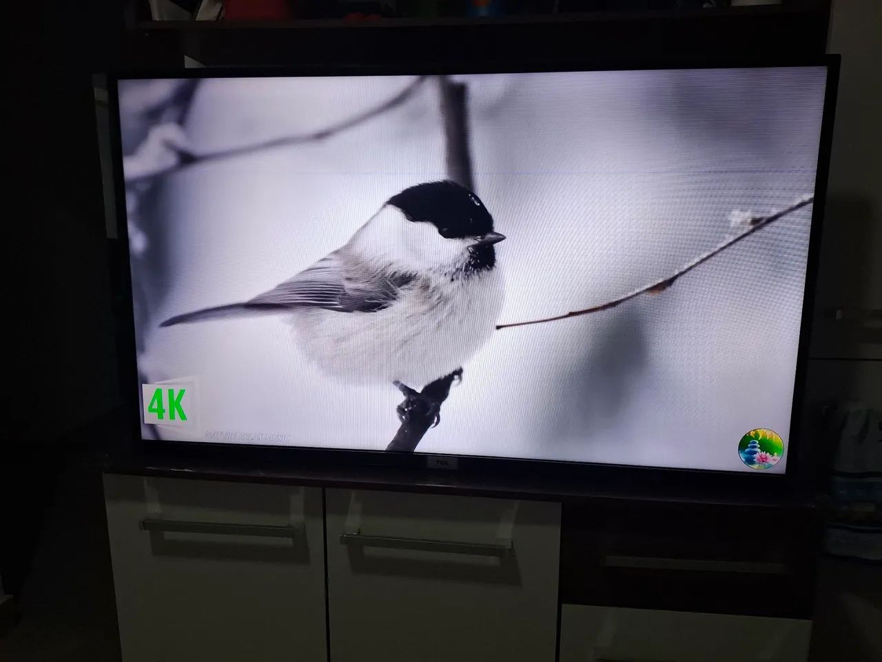 TV TCL 50 polegadas  - Foto 5