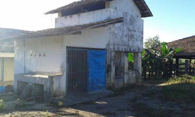 Fazenda para venda em nova viçosa, distrito de argolo - Foto 19