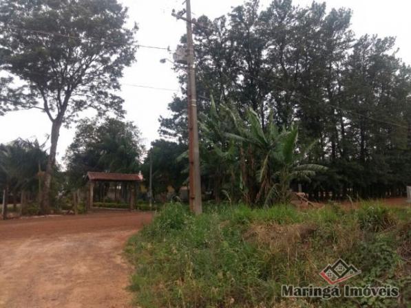 8060 | chácara para alugar em não informado, maringá