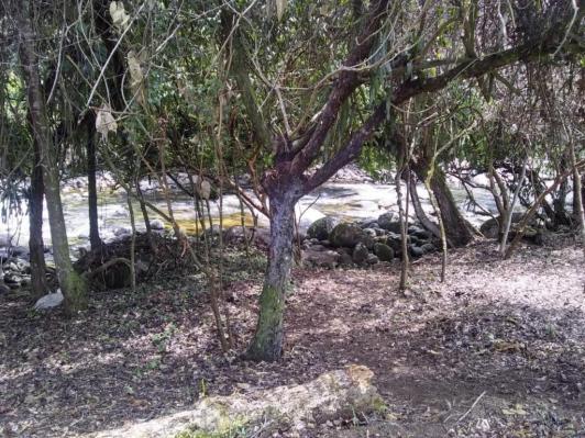 Terreno à venda em Parque veneza, Cachoeiras de macacu cod:TE0116 - Foto 4