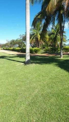 4342 Hect Em Barra Do Garça podendo virar soja.(Fazenda modelo difeênciada) - Foto 9