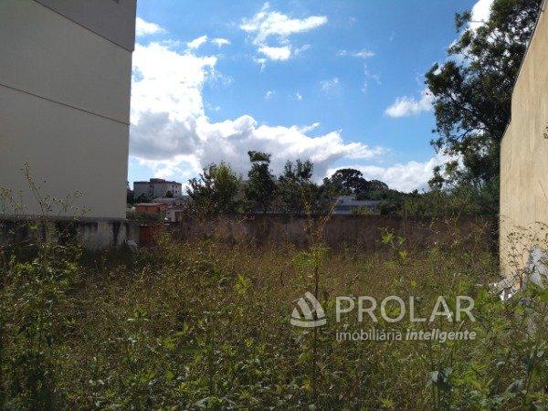 Casa para alugar com 2 dormitórios em Cidade nova, Caxias do sul cod:10801 - Foto 13