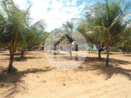 Terreno à venda em Muriú, Ceará-mirim cod:708001 - Foto 2