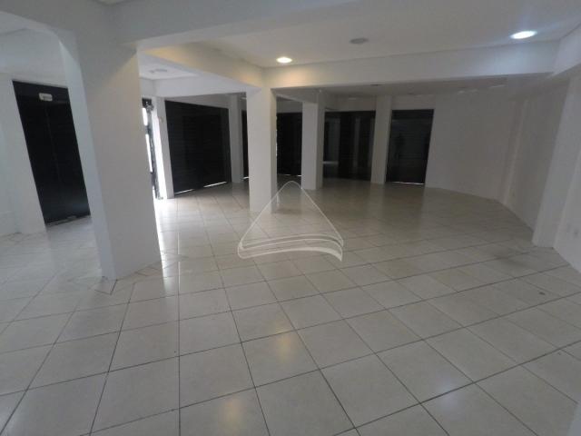 Loja comercial para alugar em Centro, Passo fundo cod:11864 - Foto 3