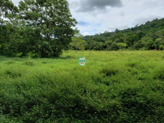 Ubaitaba. Fazenda produtiva de 139 Hectares a beira do asfalto. - Foto 13