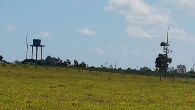 Maravilhosa Fazenda em Barrolândia, Belmonte - BA com 809 Hectares... - Foto 8