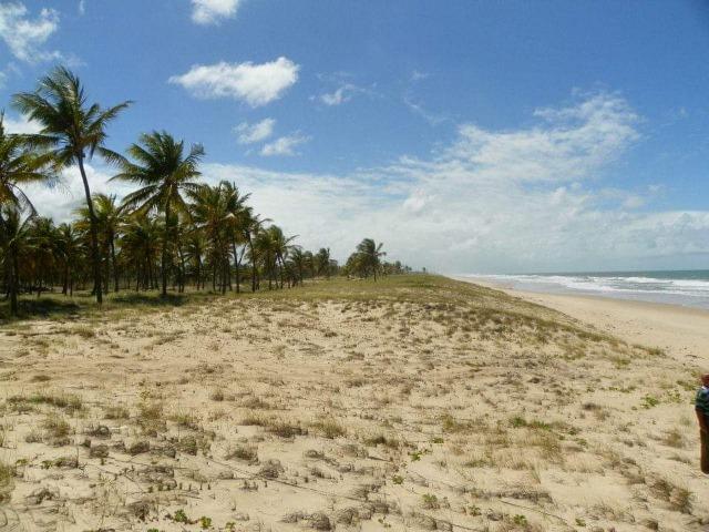 Sítio 87,23 tarefas frente ao mar em Costa Azul - Foto 4