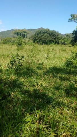 Fazenda com 806 hectares na Agrovila das Palmeiras a 130 km de Cuiabá - Foto 13